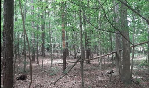 Photo #3 of 6616 Blackwater Road, Virginia Beach, Virginia 3.2 acres