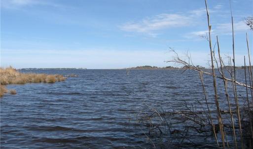 Photo #6 of 4161 Caratoke Highway, Barco, North Carolina 92.4 acres