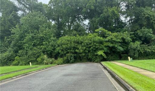 Photo #6 of 26AC Johnstown Road, Chesapeake, Virginia 26.5 acres