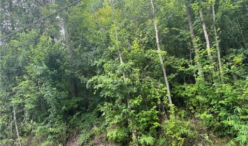 Photo #9 of 26AC Johnstown Road, Chesapeake, Virginia 26.5 acres