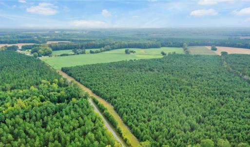 Photo #9 of 6+AC Saint Lukes Road, Ivor, Virginia 6.6 acres