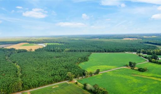 Photo #5 of 61+AC Ivor Road, Ivor, Virginia 61.0 acres
