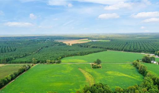 Photo #6 of 61+AC Ivor Road, Ivor, Virginia 61.0 acres