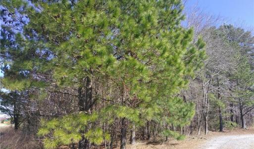 Photo #2 of 42-7B College Run, Elberon, Virginia
