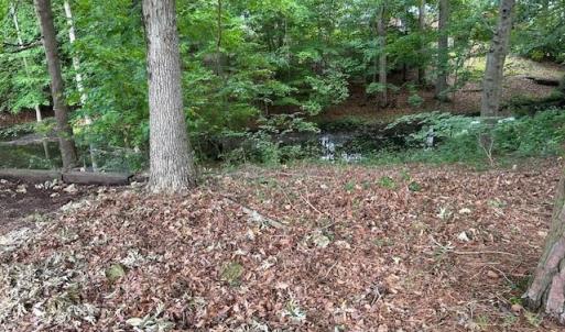 Photo #3 of 158 Highwood Circle, Newport News, Virginia 0.9 acres