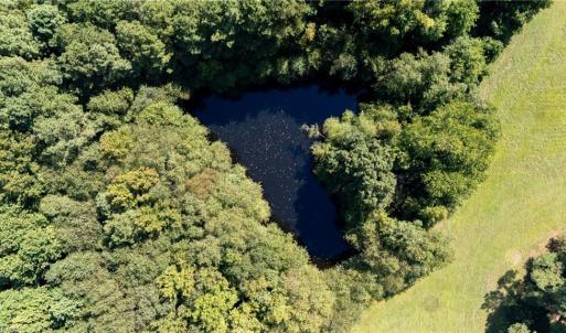 Photo #39 of 23325 SOUTHAMPTON Parkway, Courtland, Virginia 73.8 acres