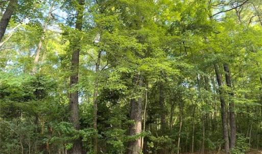 Photo #1 of Lot 31 Darden Street, Chesapeake, Virginia 0.7 acres