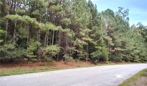 Photo #4 of 40 Stanley Court, Surry, Virginia 2.8 acres