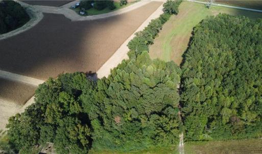 Photo #19 of 31242 Holly Run Drive, Carrsville, Virginia 22.7 acres