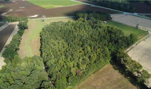 Photo #21 of 31242 Holly Run Drive, Carrsville, Virginia 22.7 acres