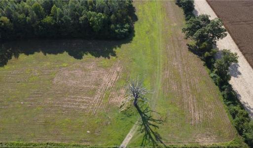 Photo #12 of 31242 Holly Run Drive, Carrsville, Virginia 22.7 acres