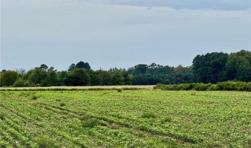 Photo #3 of 2025 Pungo Ridge Court, Virginia Beach, Virginia 9.0 acres