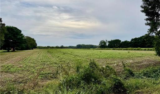 Photo #4 of 2025 Pungo Ridge Court, Virginia Beach, Virginia 9.0 acres