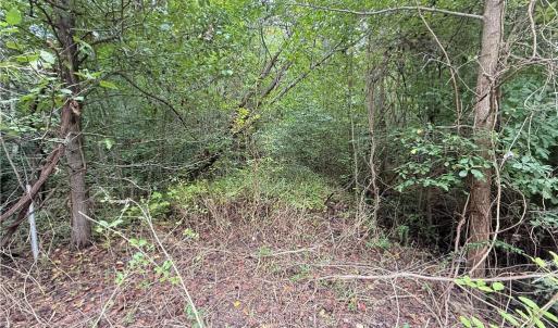 Photo #30 of 2.5ac George Washington Highway, Chesapeake, Virginia 2.5 acres