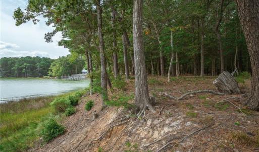 Photo #4 of 20AC Shooting Point Drive, Machipongo, Virginia 20.0 acres