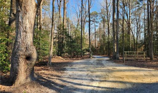 Photo #26 of 11.8AC Faison Road, Wakefield, Virginia 11.8 acres