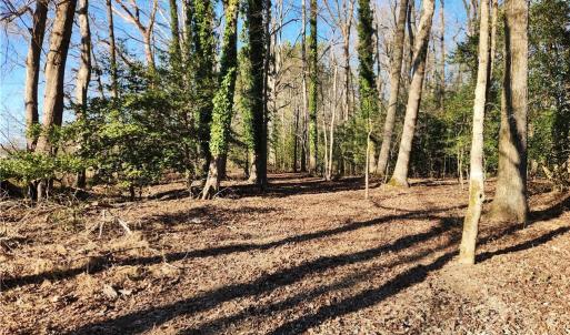 Photo #28 of 11.8AC Faison Road, Wakefield, Virginia 11.8 acres