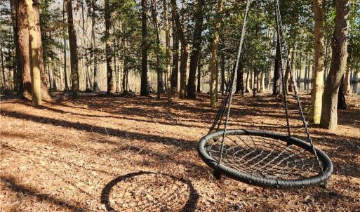 Photo #12 of 11.8AC Faison Road, Wakefield, Virginia 11.8 acres