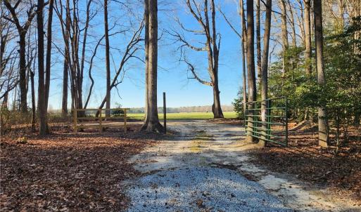 Photo #25 of 11.8AC Faison Road, Wakefield, Virginia 11.8 acres