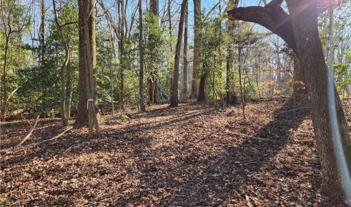 Photo #29 of 11.8AC Faison Road, Wakefield, Virginia 11.8 acres