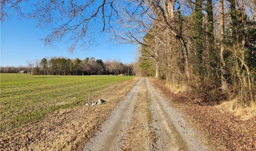 Photo #30 of 11.8AC Faison Road, Wakefield, Virginia 11.8 acres