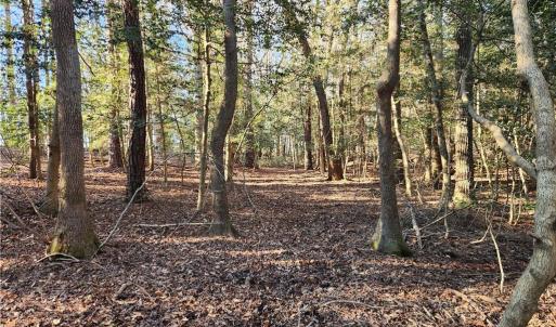 Photo #32 of 11.8AC Faison Road, Wakefield, Virginia 11.8 acres