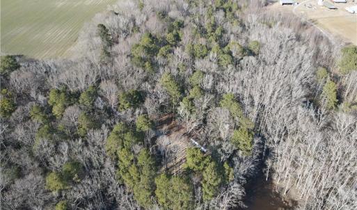 Photo #37 of 11.8AC Faison Road, Wakefield, Virginia 11.8 acres