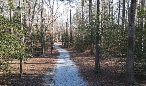 Photo #39 of 11.8AC Faison Road, Wakefield, Virginia 11.8 acres