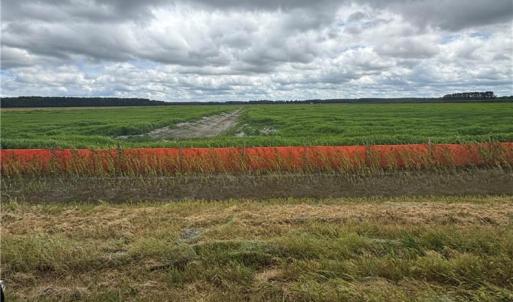 Photo #1 of 737 Bedford Street, Chesapeake, Virginia 3.8 acres