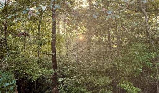 Photo #11 of 5.1+AC Lynn Lake Court, Barhamsville, Virginia 7.3 acres