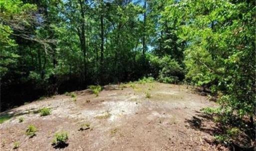 Photo #5 of 5.1+AC Lynn Lake Court, Barhamsville, Virginia 7.3 acres