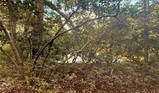 Photo #8 of 5.1+AC Lynn Lake Court, Barhamsville, Virginia 7.3 acres