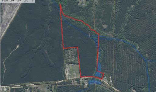 Wetlands Aerial