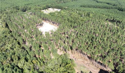 Back lot clearing for food plot or second home