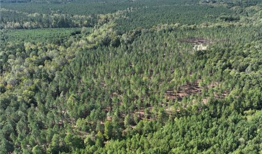 Photo #12 of 626. Manning. Drive, Valentines, Virginia 27.5 acres