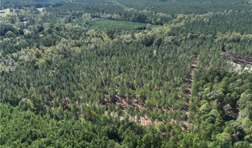 Photo #13 of 626. Manning. Drive, Valentines, Virginia 27.5 acres