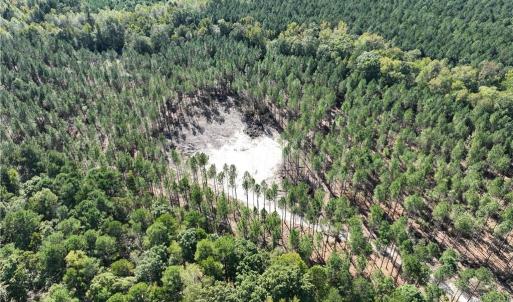 Photo #14 of 626. Manning. Drive, Valentines, Virginia 27.5 acres