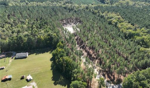 Photo #15 of 626. Manning. Drive, Valentines, Virginia 27.5 acres