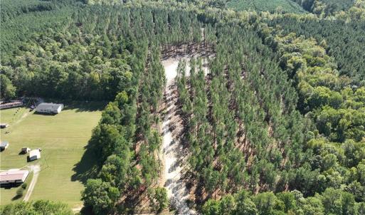 Photo #16 of 626. Manning. Drive, Valentines, Virginia 27.5 acres