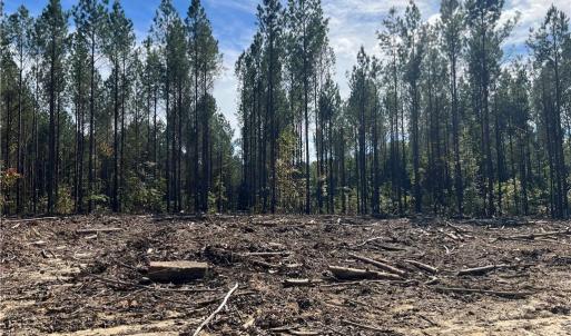 Photo #19 of 626. Manning. Drive, Valentines, Virginia 27.5 acres