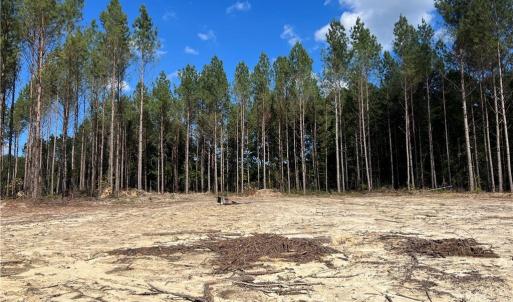 Photo #20 of 626. Manning. Drive, Valentines, Virginia 27.5 acres