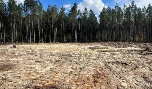 Photo #21 of 626. Manning. Drive, Valentines, Virginia 27.5 acres