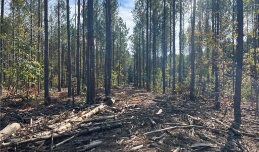 Photo #22 of 626. Manning. Drive, Valentines, Virginia 27.5 acres