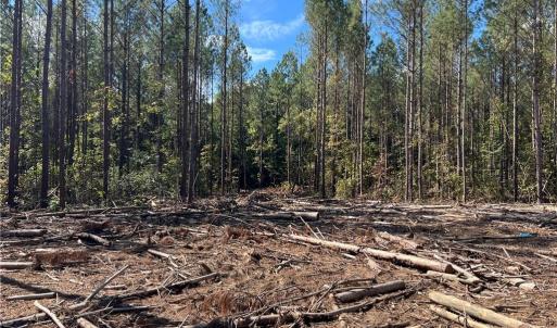 Photo #23 of 626. Manning. Drive, Valentines, Virginia 27.5 acres