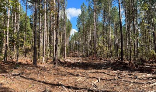 Photo #24 of 626. Manning. Drive, Valentines, Virginia 27.5 acres