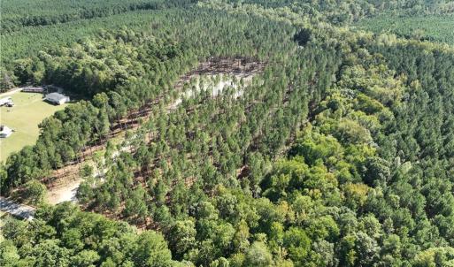 Photo #8 of 626. Manning. Drive, Valentines, Virginia 27.5 acres