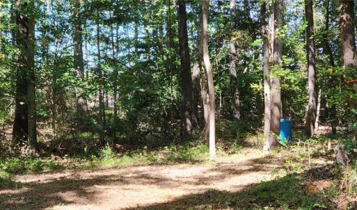 Photo #3 of Wise Lane, Mattaponi, Virginia