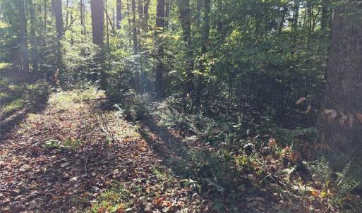 Photo #1 of 5.71ac New Upton Farms Lane, Gloucester, Virginia 5.7 acres