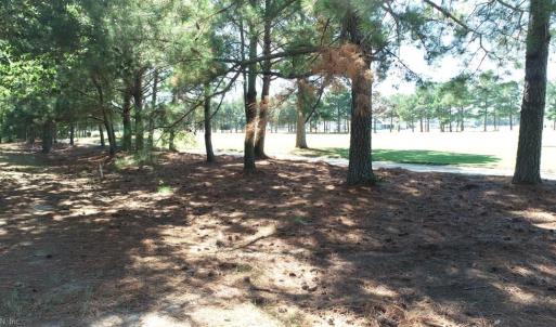 Photo #11 of 211 Blue Heaven Road, Cape Charles, Virginia 0.2 acres