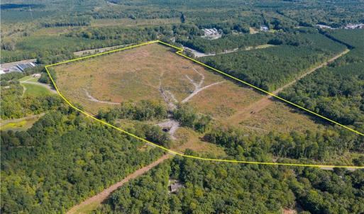 Photo #6 of 75+ac Piney Swamp Road, Gloucester, Virginia 75.8 acres